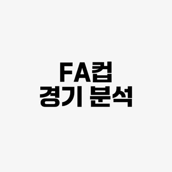 맨 시티 플리머스